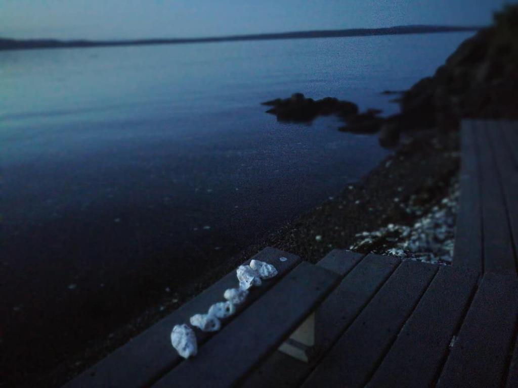 Vancouver Island Castle Cove Inn Шемейнюс Екстериор снимка