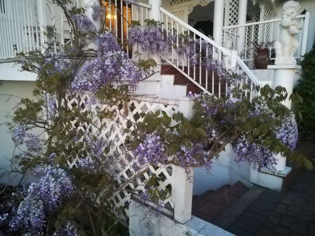 Vancouver Island Castle Cove Inn Шемейнюс Екстериор снимка