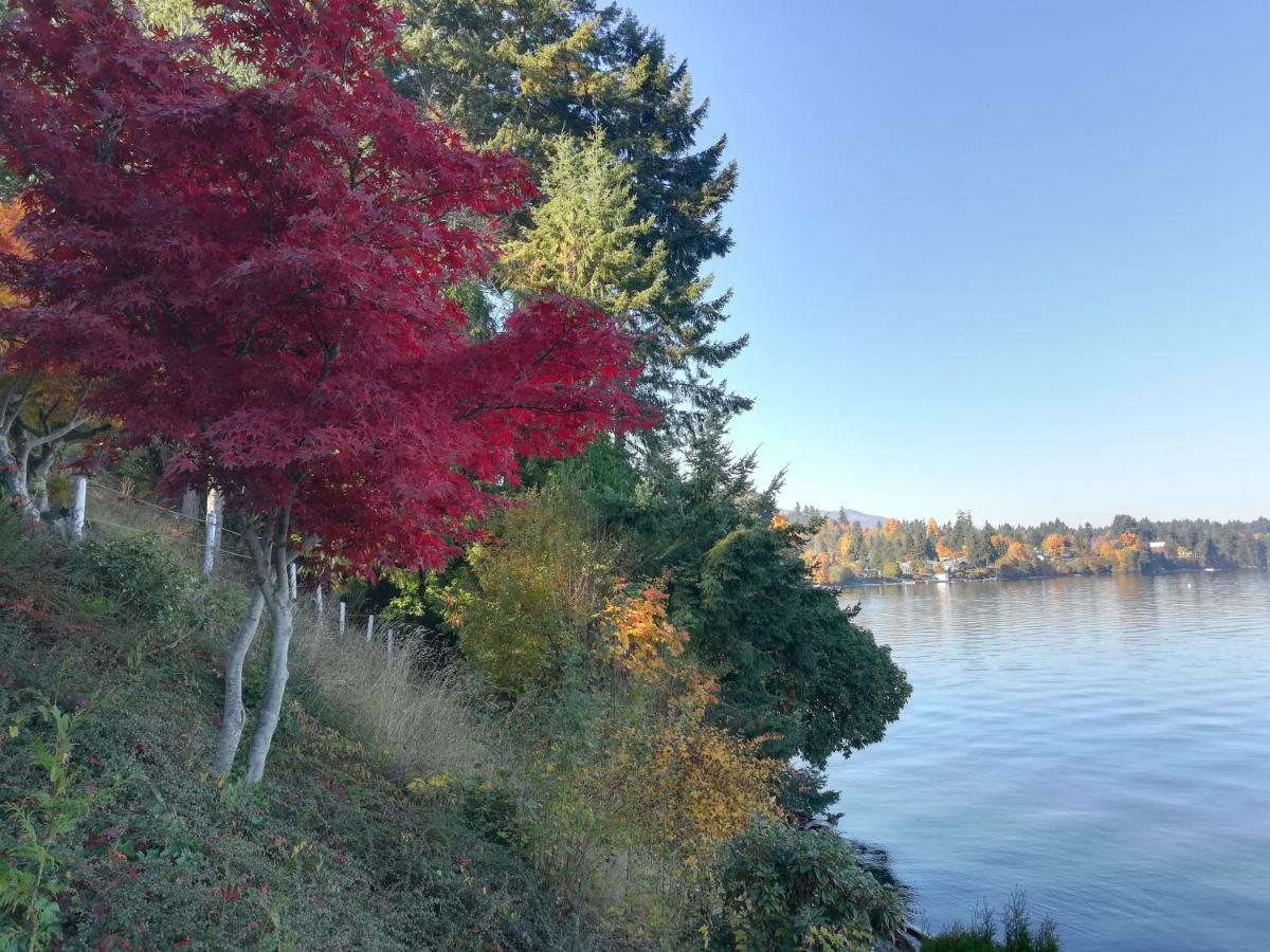 Vancouver Island Castle Cove Inn Шемейнюс Екстериор снимка