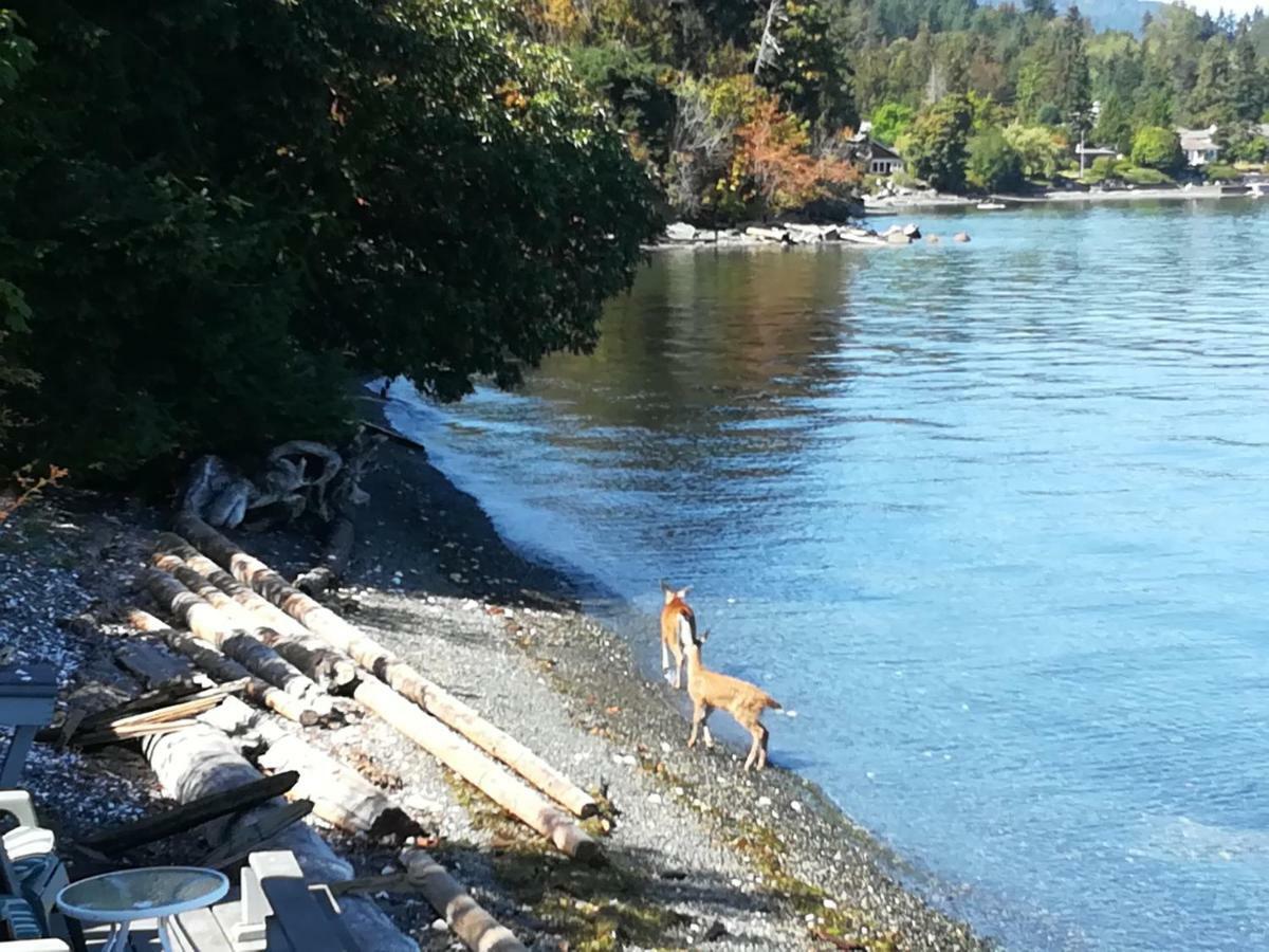 Vancouver Island Castle Cove Inn Шемейнюс Екстериор снимка
