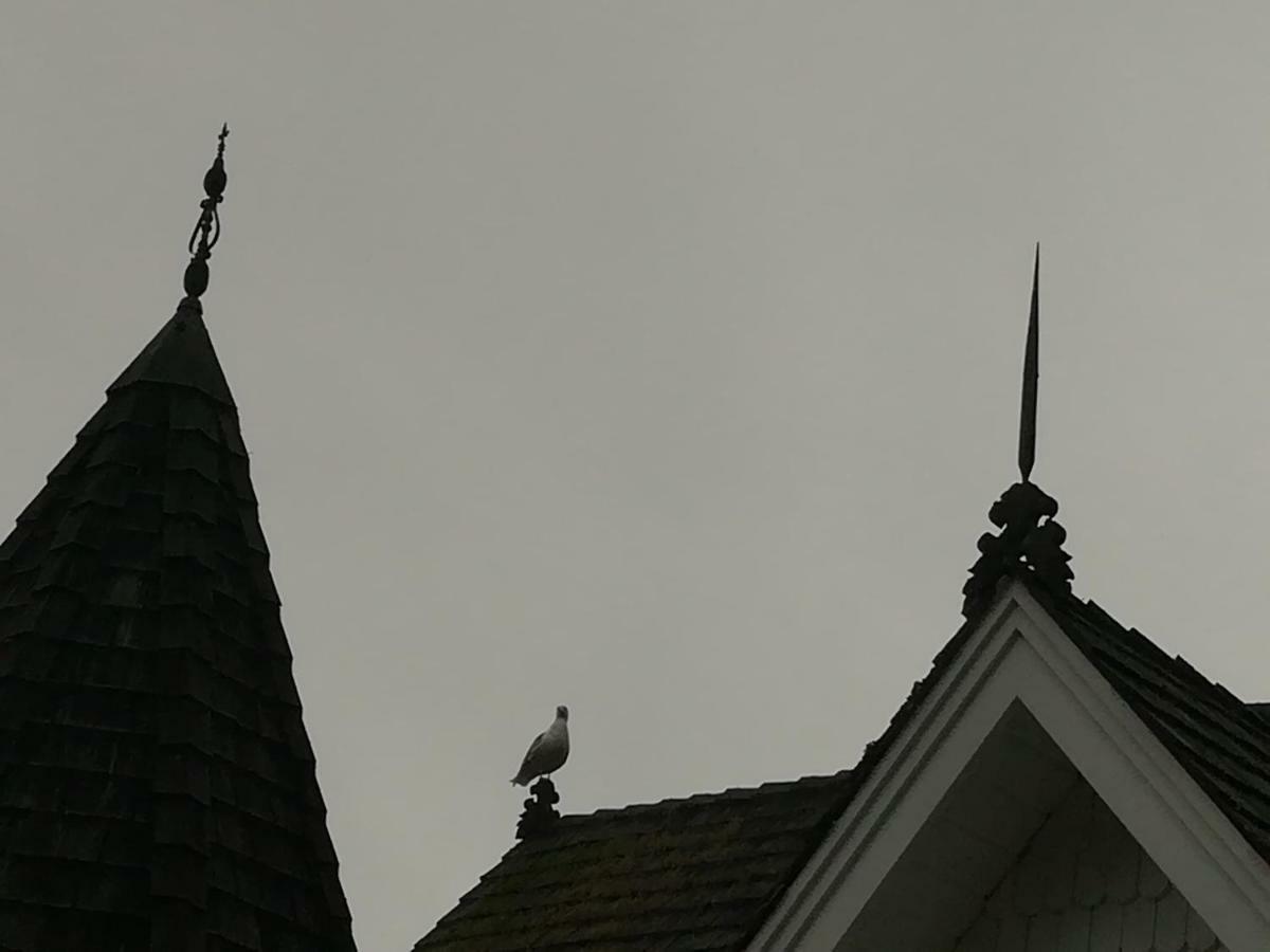 Vancouver Island Castle Cove Inn Шемейнюс Екстериор снимка